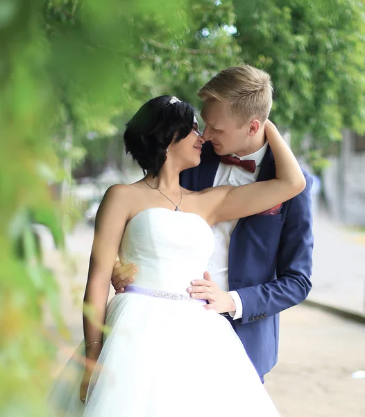 Beso de los recién casados en la calle o — Foto de Stock