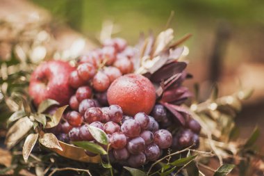 ahşap bir masa meyve düzenlenmesi.