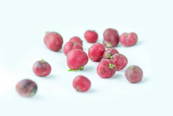 Rábanos rojos frescos. Aislados sobre un fondo blanco . —  Fotos de Stock