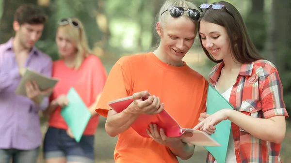 Två par av studenter med clipboards talar i parken — Stockfoto