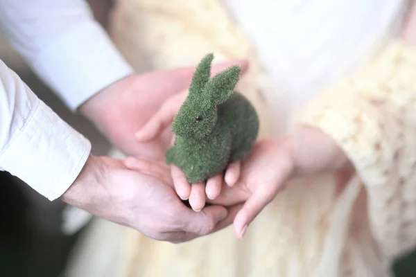 Close up.couple in love holding a green toy rabbit. — Stock Photo, Image