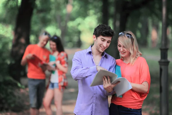 Par elever med ett urklipp diskuterar tentamen frågor står i parken — Stockfoto