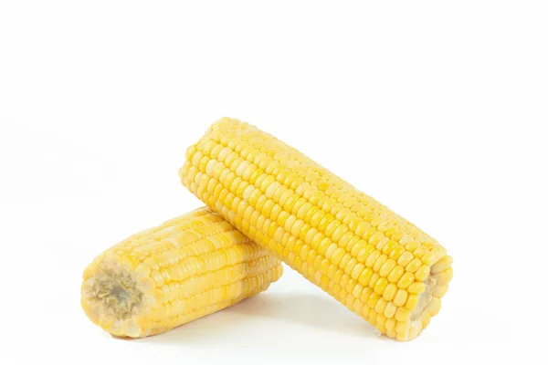 Ripe corn .isolated on a white background — Stock Photo, Image