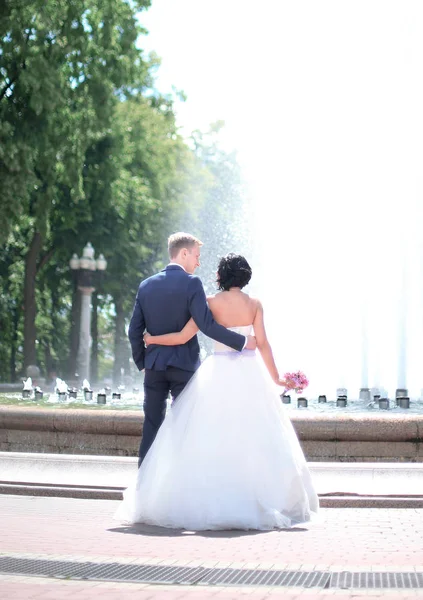 Bakre view.bride brudgummen tittar på fontänen — Stockfoto