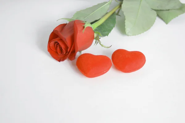 Rosa e dois corações vermelhos no fundo branco.conceito de amor — Fotografia de Stock