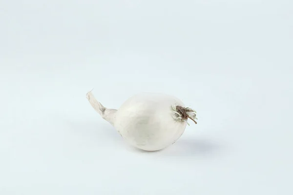 Cipolla bianca .isolata su fondo bianco — Foto Stock