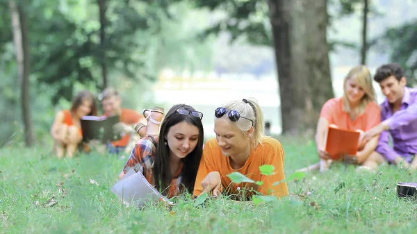 City Park sınavlarına hazırlanıyor öğrenci çiftler Grup — Stok fotoğraf