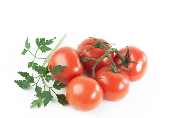 Reife Tomaten auf einem Zweig. isolierter weißer Hintergrund. — Stockfoto