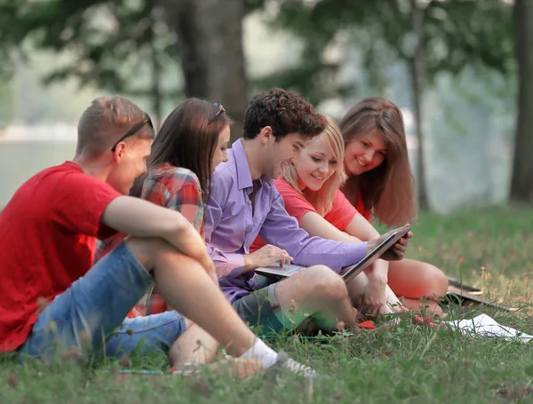 Grup öğrenci parkta çim üzerinde oturan bir dizüstü bilgisayar ile — Stok fotoğraf