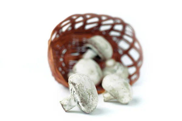 Champiñones frescos en una canasta de mimbre.aislado en blanco . —  Fotos de Stock