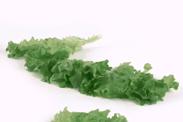 Salad leaf. Lettuce isolated on white background. — Stock Photo, Image