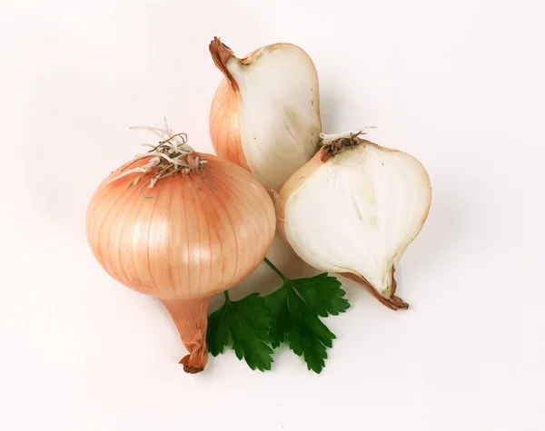 Świeże onions.isolated złotych na białym tle — Zdjęcie stockowe