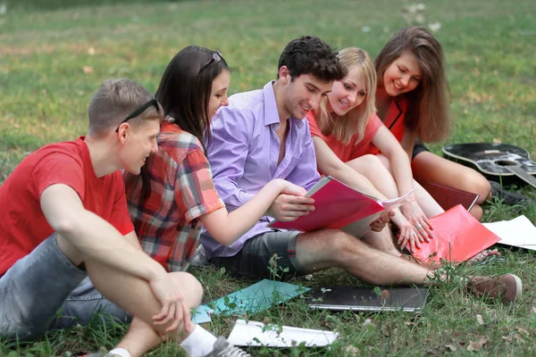 Skupina vysokoškolských studentů, sedí na trávě a čtení knih v parku — Stock fotografie