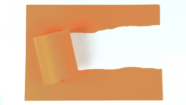 Hoja rota naranja sobre un fondo blanco . — Foto de Stock