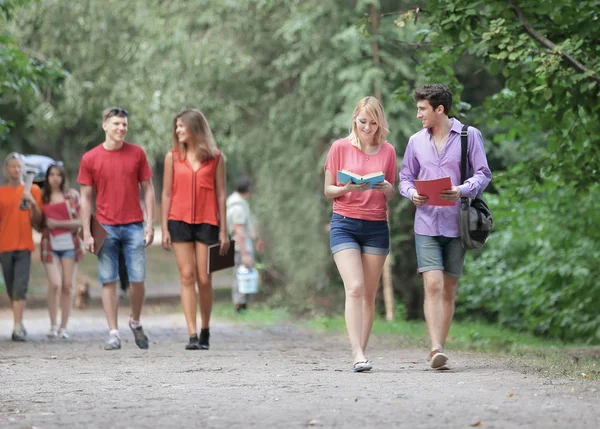 Skupina vysokoškolských studentů spolu projít do parku — Stock fotografie