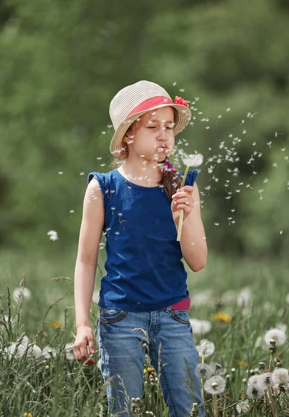 Niña sopla sobre un diente de león, de pie en un prado verde . —  Fotos de Stock