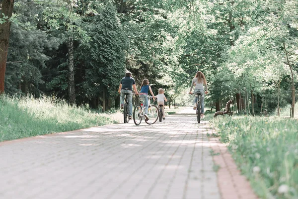 Rear view .close-knit family on a bike ride in the Park — Zdjęcie stockowe