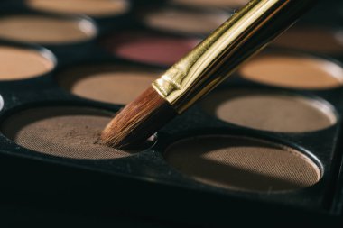 close up. makeup brush and beige eye shadow