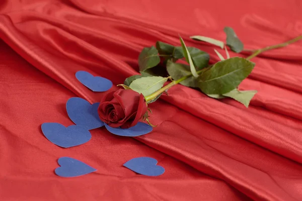 Rose rouge et coeurs bleus sur fond rouge — Photo