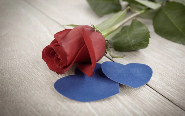 Czerwona róża i dwa niebieskie serca na jasnym tle drewnianych — Zdjęcie stockowe
