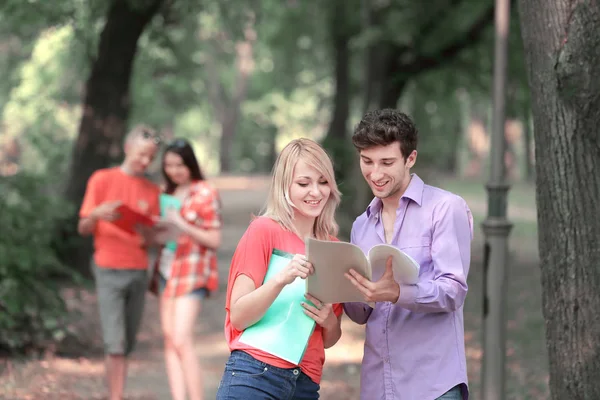 Pareja de estudiantes con un portapapeles discutiendo preguntas de examen de pie en el Parque —  Fotos de Stock