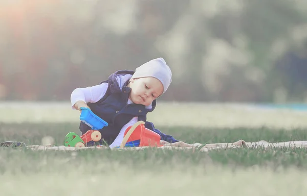 Niño feliz con juguetes en el picnic — Foto de Stock