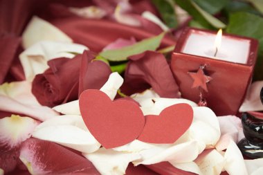 Şenlik arka planında bir çift siyah kuğu figürü