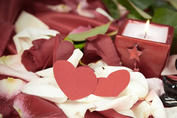 Şenlik arka planında bir çift siyah kuğu figürü