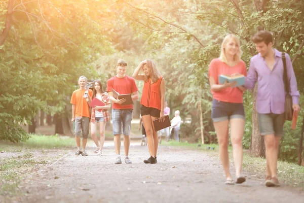 Skupina vysokoškolských studentů na procházce v parku — Stock fotografie