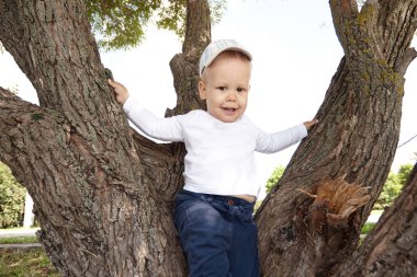 büyük bir ağaç dalları arasında duran küçük çocuk