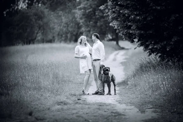 レトロなスタイル。公園での散歩に美しい夫婦 — ストック写真