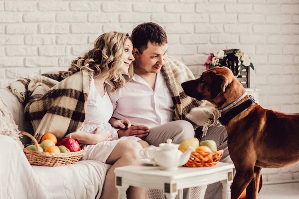 Joven pareja casada con su mascota sentada en la mañana en una acogedora sala de estar — Foto de Stock
