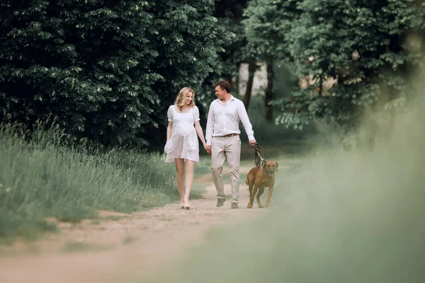 Familia joven y su mascota caminando a lo largo del camino en el Parque — Foto de Stock