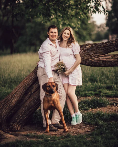 Jovem família com seu cão de pé perto de uma grande árvore . — Fotografia de Stock