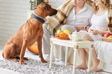 Genç evli çift ile onların evde beslenen hayvan oturma rahat bir oturma odasında sabah