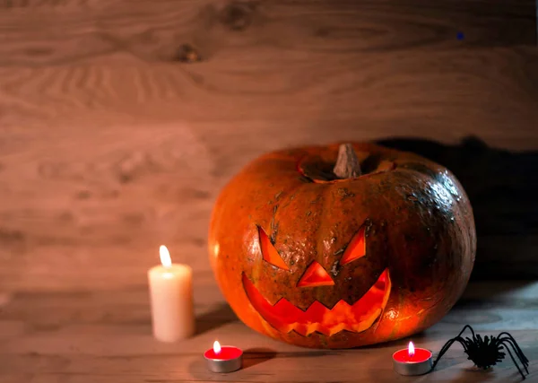 Candles,pumpkins and a spider on a wooden background — Stock Photo, Image