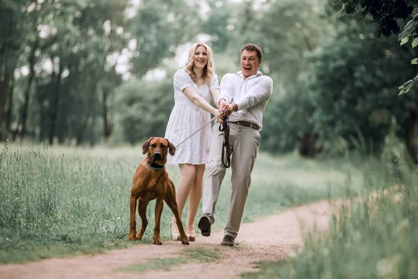 Genç koca ve karısı evcil köpeğiyle parkta yürüyüşe çıktılar. — Stok fotoğraf
