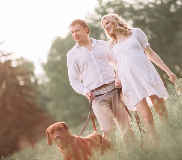 Mari heureux et sa femme enceinte pour une promenade un jour d'été  . — Photo