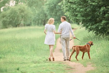 arka görüş. parkta bir yürüyüş üzerinde çift.