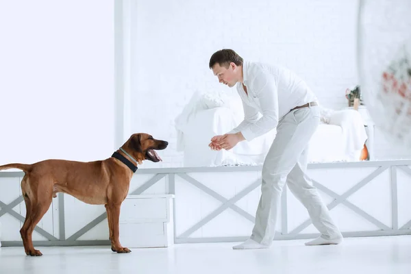 Junger Mann trainiert seinen Hund in seiner Wohnung — Stockfoto