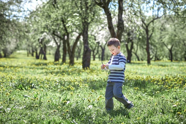 Menino brincando com um pau em um passeio no parque — Fotografia de Stock