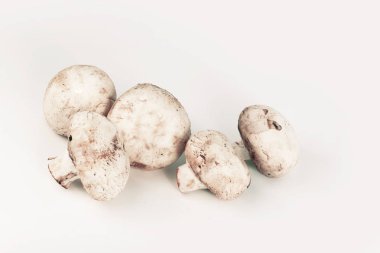 taze mushrooms.isolated beyaz bir arka plan üzerinde. kopya alanı ile fotoğraf