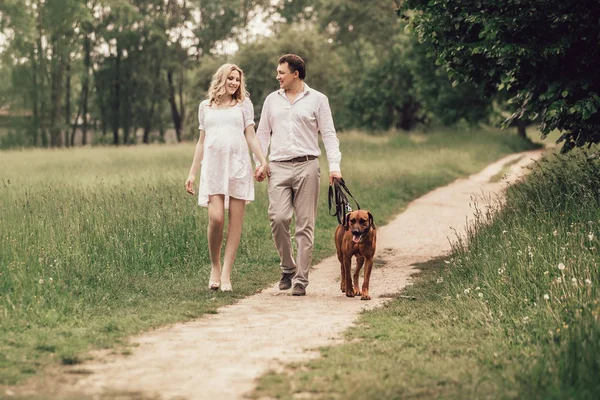 Mooie man en zijn zwangere vrouw met hun hond op een wandeling in het Park — Stockfoto