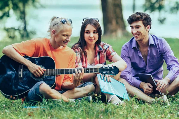 Grupo de estudiantes con guitarra descansando en el parque en Sunny —  Fotos de Stock