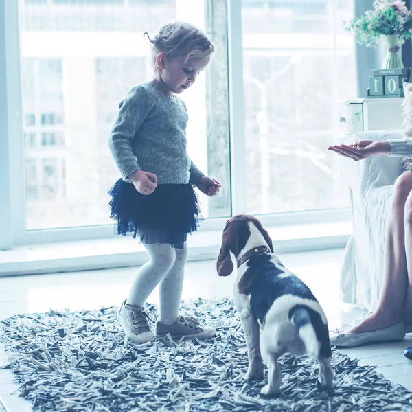 Niña jugando con su perro en la amplia sala de estar — Foto de Stock