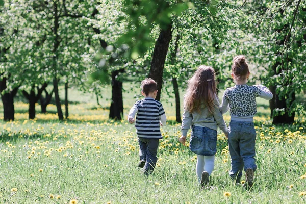 Hermano y sus hermanas caminando sobre el césped en el parque de primavera . —  Fotos de Stock