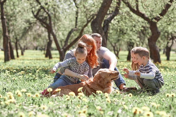 Padres con sus hijos acarician a su perro para dar un paseo . —  Fotos de Stock