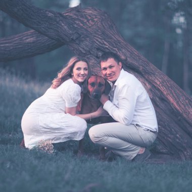 Mutlu çift müstakbel anne ve baba parkta köpekle yürüyorlar.