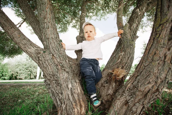 Jongetje permanent onder de takken van een grote boom — Stockfoto