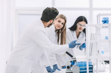 Grup Genç Bilim adamı araştırma sonuçlarını tartışıyor